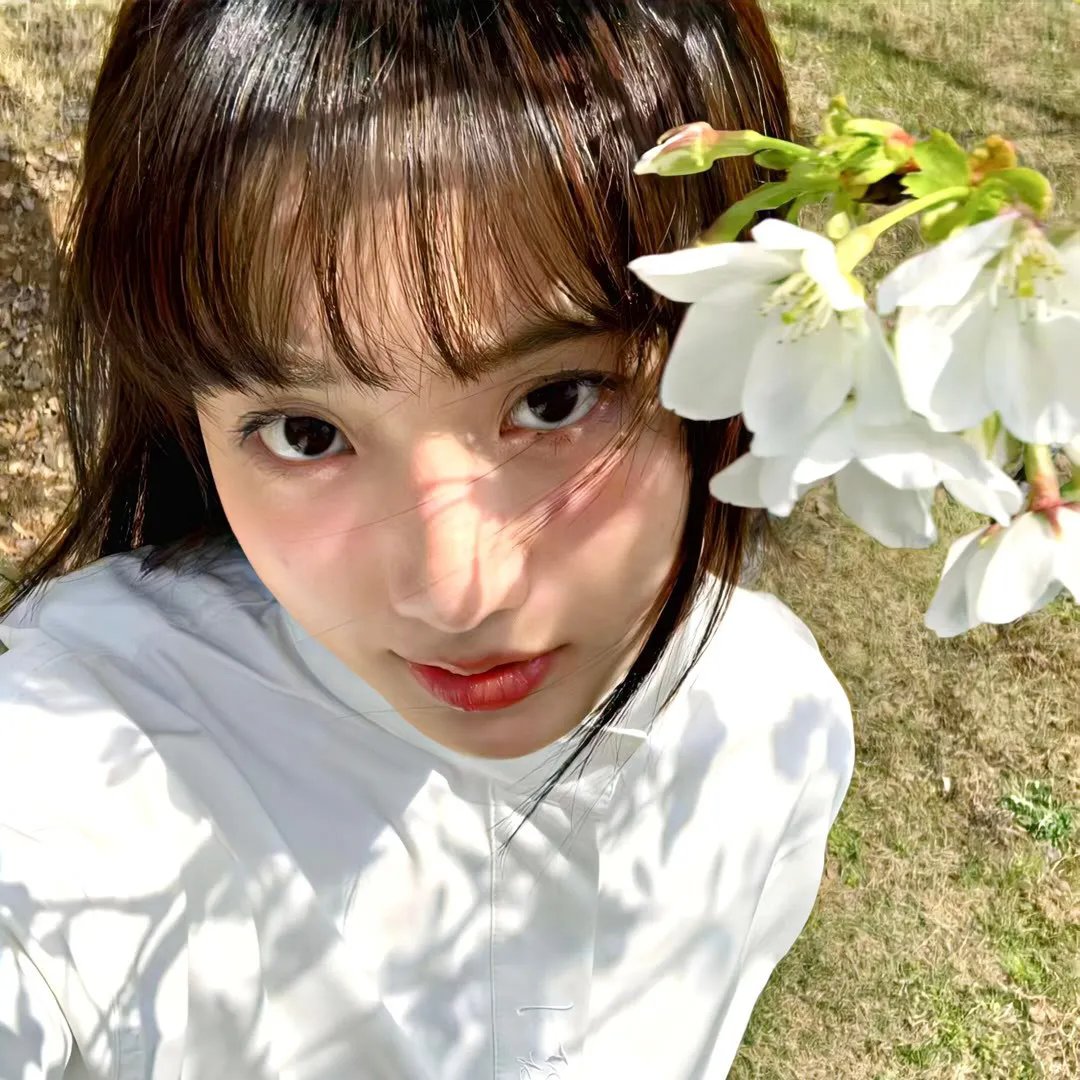 芬妮的旅程
